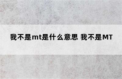 我不是mt是什么意思 我不是MT 